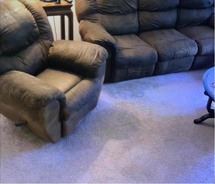 Clean carpet and furniture